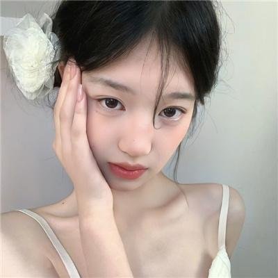 新忠烈图