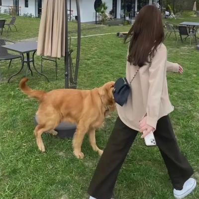 火线情深